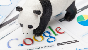 Google Panda